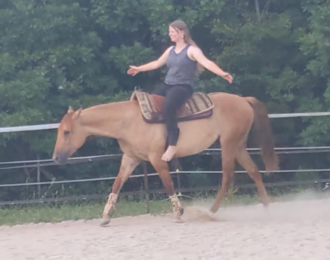 HorseID: 2306252 Four Mac Stroker - PhotoID: 1089919