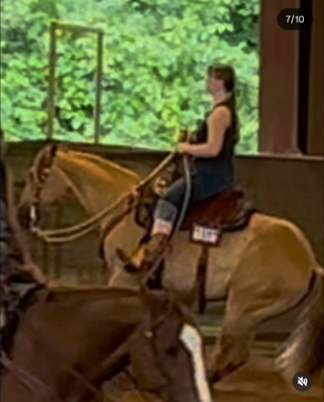 HorseID: 2306252 Four Mac Stroker - PhotoID: 1089921