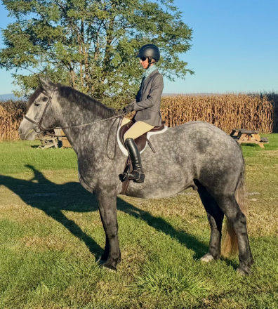 HorseID: 2306255 Magnum - PhotoID: 1089916