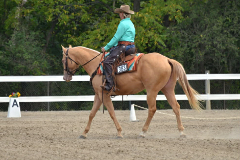 HorseID: 2306257 SkippnGoldenSupanova - PhotoID: 1089924