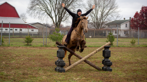 HorseID: 2306265 Zeus - PhotoID: 1089939