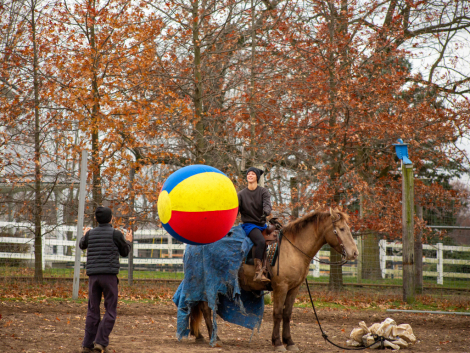 HorseID: 2306265 Zeus - PhotoID: 1089940