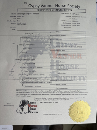 HorseID: 2306272 Pineridge Empire's Ransom - PhotoID: 1089955