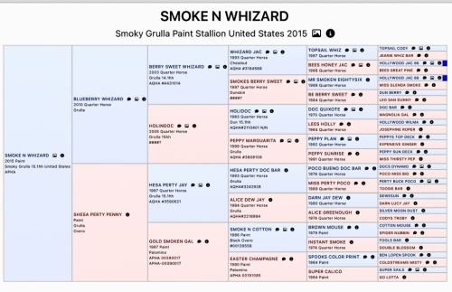 HorseID: 2306276 Smoke N Whizard - PhotoID: 1089961