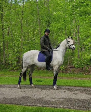 HorseID: 2306289 Arabella - PhotoID: 1089971