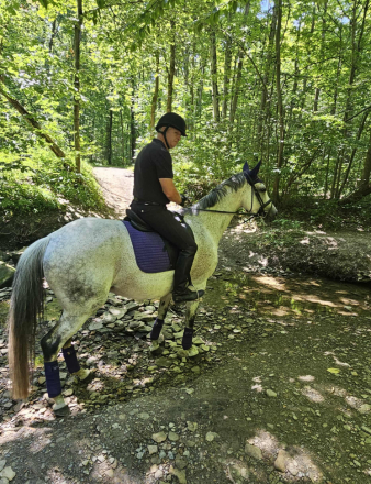 HorseID: 2306289 Arabella - PhotoID: 1089973