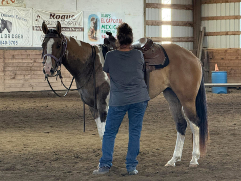 HorseID: 2306293 Highbrows Cats Reward - PhotoID: 1089983