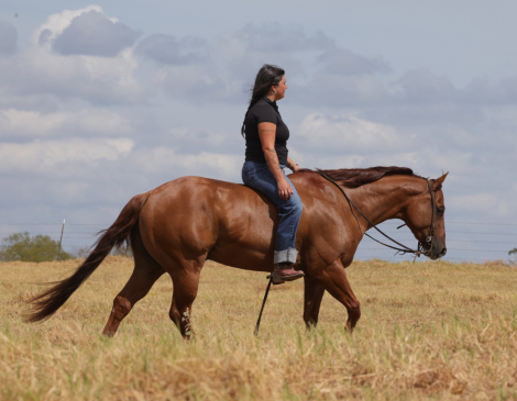 HorseID: 2253891 Tinseltown Dun Dunnit - PhotoID: 1036051