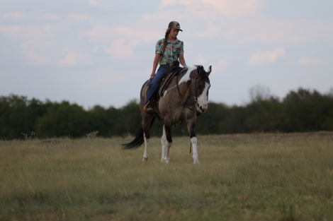 HorseID: 2260689 Appysauce - PhotoID: 1028027