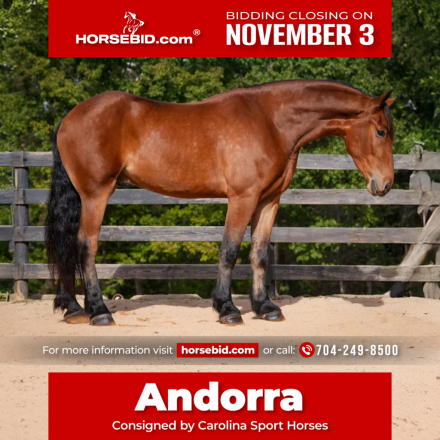 HorseID: 2275762 Andorra - PhotoID: 1048787