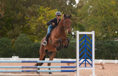 HorseID: 2275762 Andorra - PhotoID: 1048790