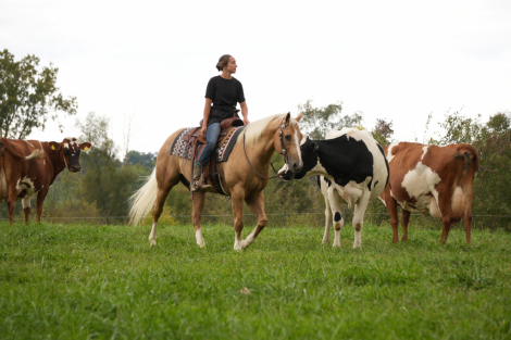 HorseID: 2280903 Ragnar Dunson - PhotoID: 1055699