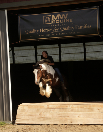 HorseID: 2280904 DD Wyoubludocgranite - PhotoID: 1055719