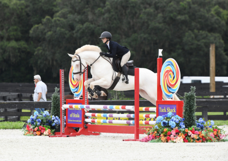 HorseID: 2286042 New Romantic - PhotoID: 1087146