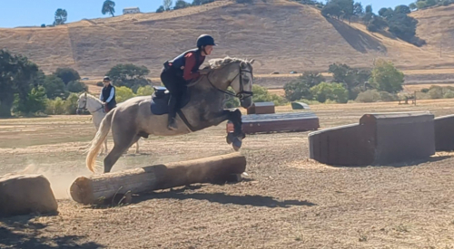 HorseID: 2288730 Flamenco De Vientos - PhotoID: 1067019