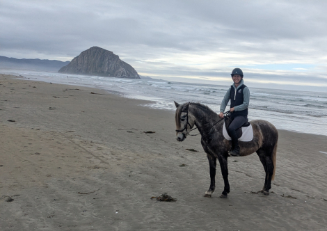 HorseID: 2288730 Flamenco De Vientos - PhotoID: 1067021