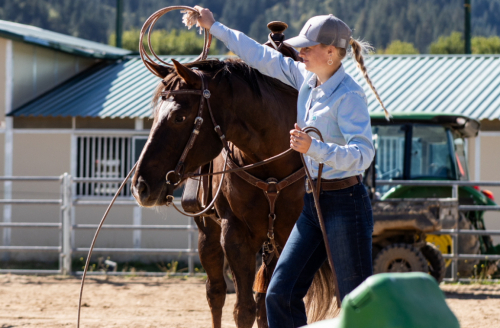 HorseID: 2289124 Boomer - PhotoID: 1066665