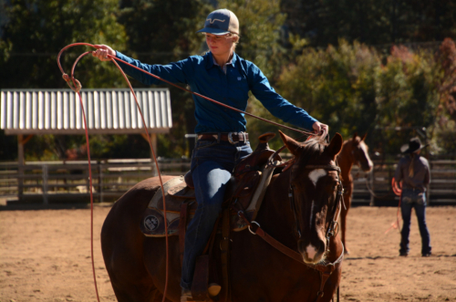 HorseID: 2289124 Boomer - PhotoID: 1066666