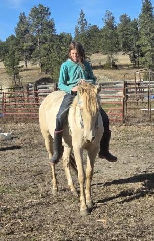 HorseID: 2289496 Prince - PhotoID: 1088094