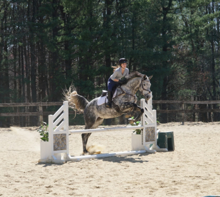 HorseID: 2289697 Saintly Hot - PhotoID: 1087479