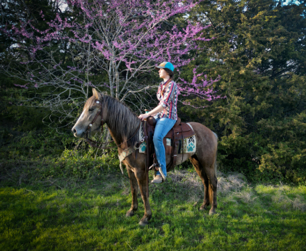 HorseID: 2290486 GENTLE BOMB PROOF TRAIL DELUXE DRAFT CROSS - PhotoID: 1087483