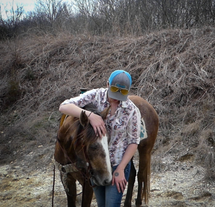 HorseID: 2290486 GENTLE BOMB PROOF TRAIL DELUXE DRAFT CROSS - PhotoID: 1087484