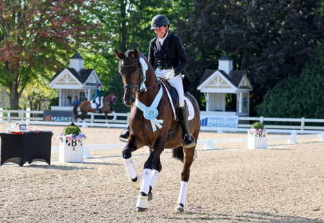 HorseID: 2292472 Don Hannes - PhotoID: 1071195