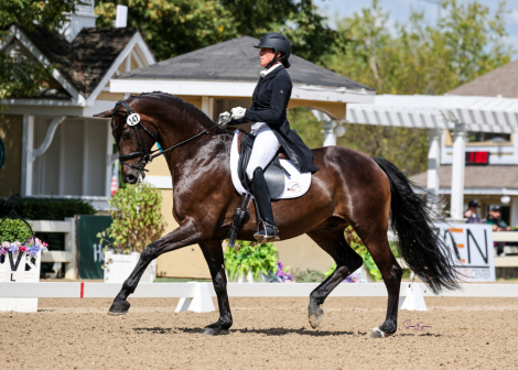 HorseID: 2292472 Don Hannes - PhotoID: 1071196