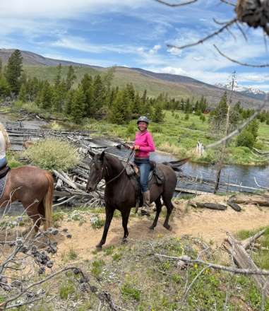 HorseID: 2295009 She Bee Stepping Out - PhotoID: 1087759