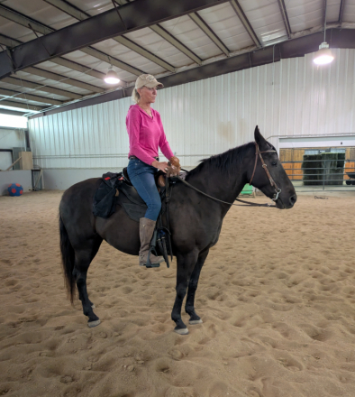 HorseID: 2295009 She Bee Stepping Out - PhotoID: 1087760