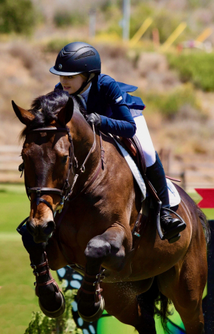 HorseID: 2295321 Par Darco SE - PhotoID: 1087507