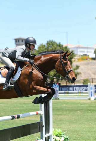 HorseID: 2295321 Par Darco SE - PhotoID: 1087508