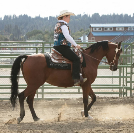 HorseID: 2295701 Princess Elisbeth HC - PhotoID: 1087297