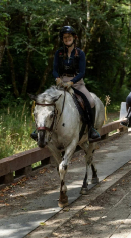 HorseID: 2295940 Granite Scout - PhotoID: 1087256