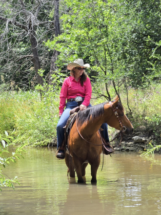 HorseID: 2296893 TELA SHEZ FANCY - PhotoID: 1087538