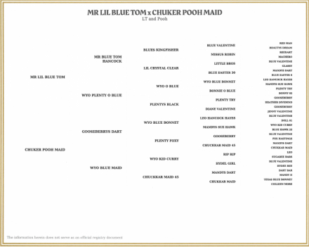 HorseID: 2297678 Ruger - PhotoID: 1086036