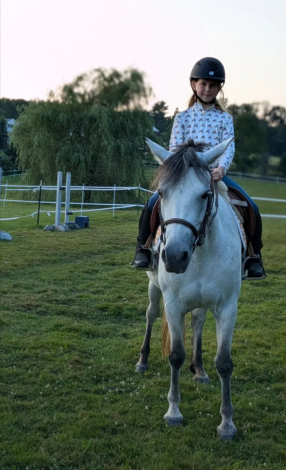 HorseID: 2298558 Big Bears Hosanna - PhotoID: 1079384