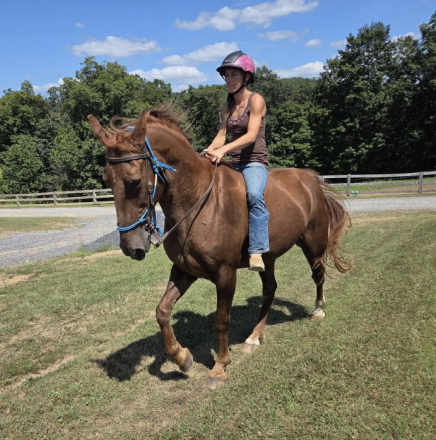 HorseID: 2298582 Bullets Big Johnny - PhotoID: 1086625