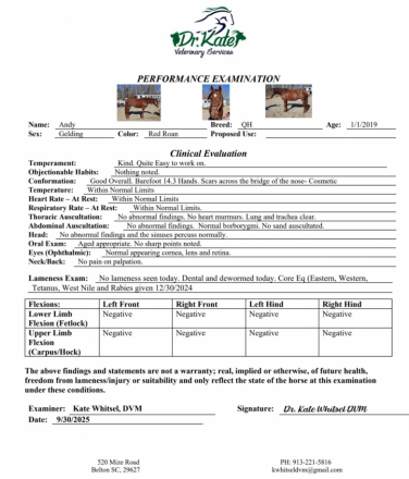 HorseID: 2298667 Fox Hunted.Jumps.  Obstacles. Vetted - PhotoID: 1086032