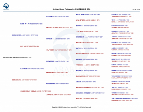 HorseID: 2298723 Maybelline DDA - PhotoID: 1079588