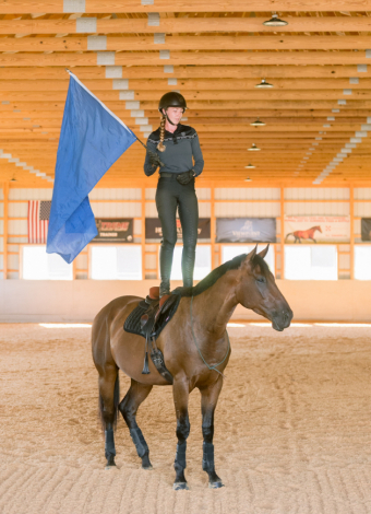 HorseID: 2299056 Fierce Competition - PhotoID: 1080088