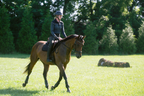 HorseID: 2299056 Fierce Competition - PhotoID: 1087357