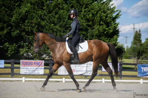 HorseID: 2299056 Fierce Competition - PhotoID: 1087359