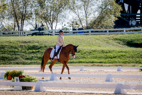 HorseID: 2299485 Carmelitas Man - PhotoID: 1080733