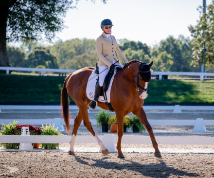 HorseID: 2299485 Carmelitas Man - PhotoID: 1086982