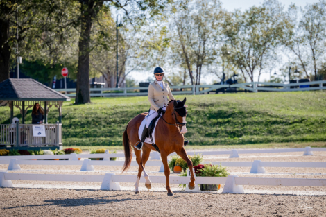 HorseID: 2299485 Carmelitas Man - PhotoID: 1086983