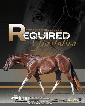 HorseID: 2299654 Required N Radical - PhotoID: 1080942