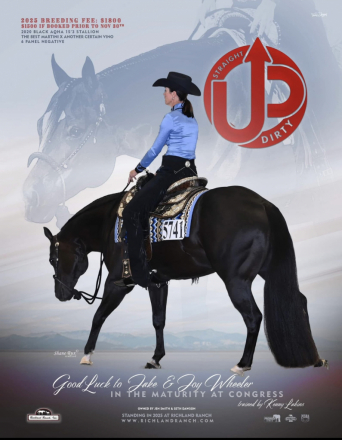 HorseID: 2299654 Required N Radical - PhotoID: 1080943