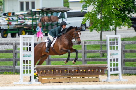 HorseID: 2299753 Cadeau D’amour - PhotoID: 1086365