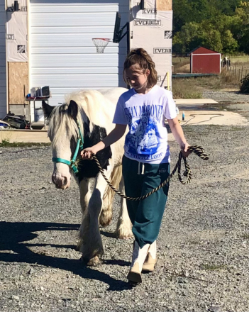 HorseID: 2300410 7’s Outlaw - PhotoID: 1086519